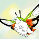 humming-bird-moth avatar