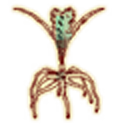 humming-roots avatar