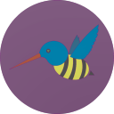 hummingbee-lievable avatar