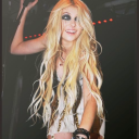 hummingbirdbones avatar