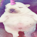 hummingburger avatar