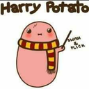 humongoushairdofishthing avatar