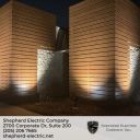 humongoussharknightmare avatar