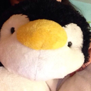 humphrey-the-penguin avatar