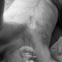 humptabulous-daddy avatar