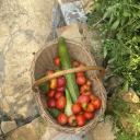 hung-as-hors2 avatar