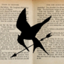 hungergamesbookclub avatar