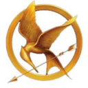 hungergamesproblems avatar