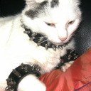 hungrrry4stink avatar