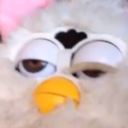 hungryandconfused avatar