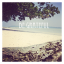 hungryandpoor avatar