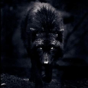 hungrybbcwolf avatar