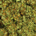 hungryhippo420-blog avatar