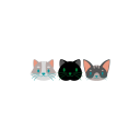 hungrykittycat avatar