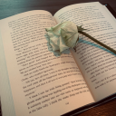 hungryswampdweller avatar