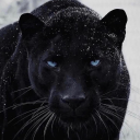 hungsquirt7-blog avatar