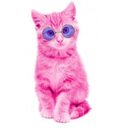 hunter-s-kittenn avatar