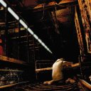 hunterintheotherworld avatar