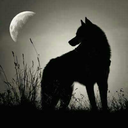 huntersblade89 avatar