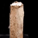 huntingforboobfun avatar