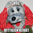 huonesataviis avatar