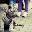 hurricane--soul avatar