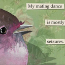 hurricane-years avatar