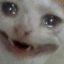 hurricanepursonafied avatar