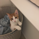 hurricanes-can-be-beautiful avatar