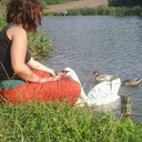 hurricanewithwings avatar