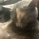 hurry-and-resurrect-me avatar