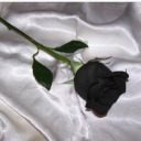 hurt-hurt-hurt avatar