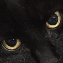 hurtinmyveins avatar