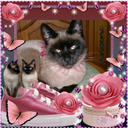 hurts-the-eyes-blog avatar