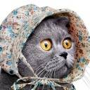 hurtsdozentits avatar