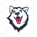 huskyoverload avatar