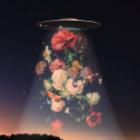 hustleforhappiness avatar