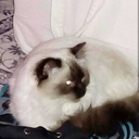 huutaasateessa avatar