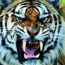 huzurarayankiz avatar