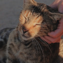 huzurmeselesi avatar