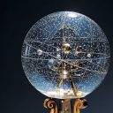 hvaneyflowers avatar