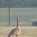 hwhahjajakakaj avatar