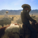 hyacinthesiss avatar