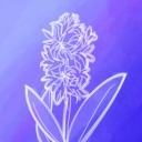 hyacinthical avatar