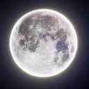 hyacinths-and-moonlight avatar