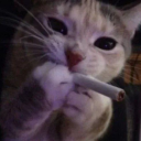 hyacinthus420 avatar