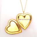 hybrid-tortilla avatar