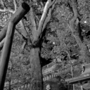 hybridcausations avatar