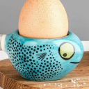 hydrangeadangea avatar