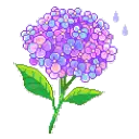 hydrangeahelper avatar